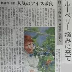 徳島新聞記事