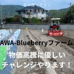物価高騰に優しいチャレンジやります