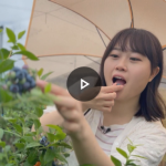 フォーカス徳島のお天気キャスター佐々木聖夏さん