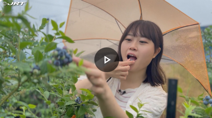 2025年四国放送「フォーカス徳島」