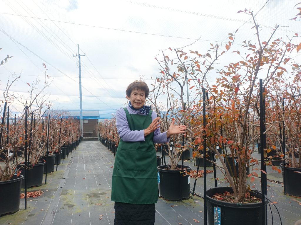 ガンバルばあちゃんです！