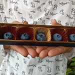 500円玉サイズブルーベリー