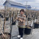 ガンバルばあちゃん春の準備