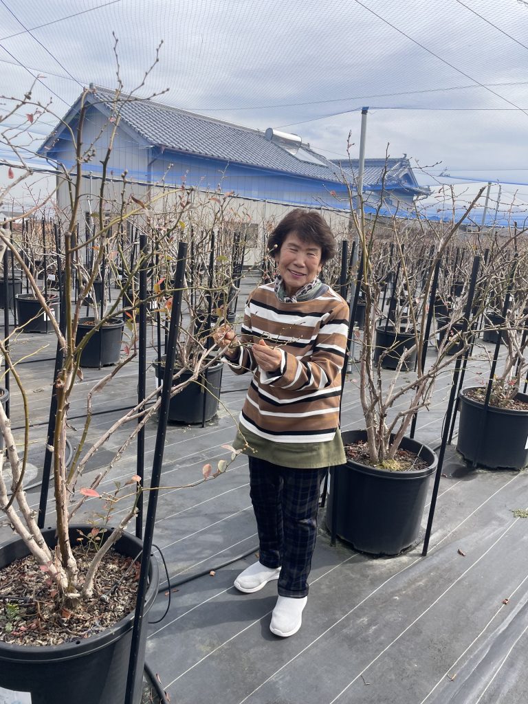 ガンバルばあちゃん